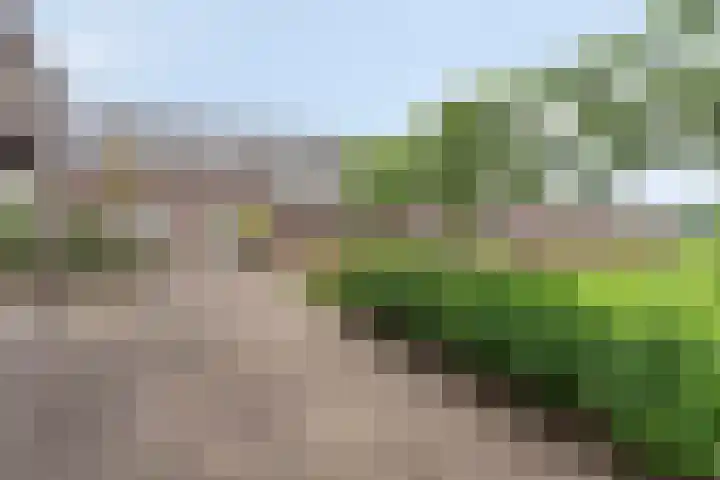 Kwantsheuvel 1 Overloon thumbnail 86