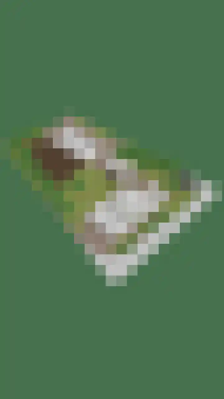 Kwantsheuvel 1 Overloon thumbnail 88