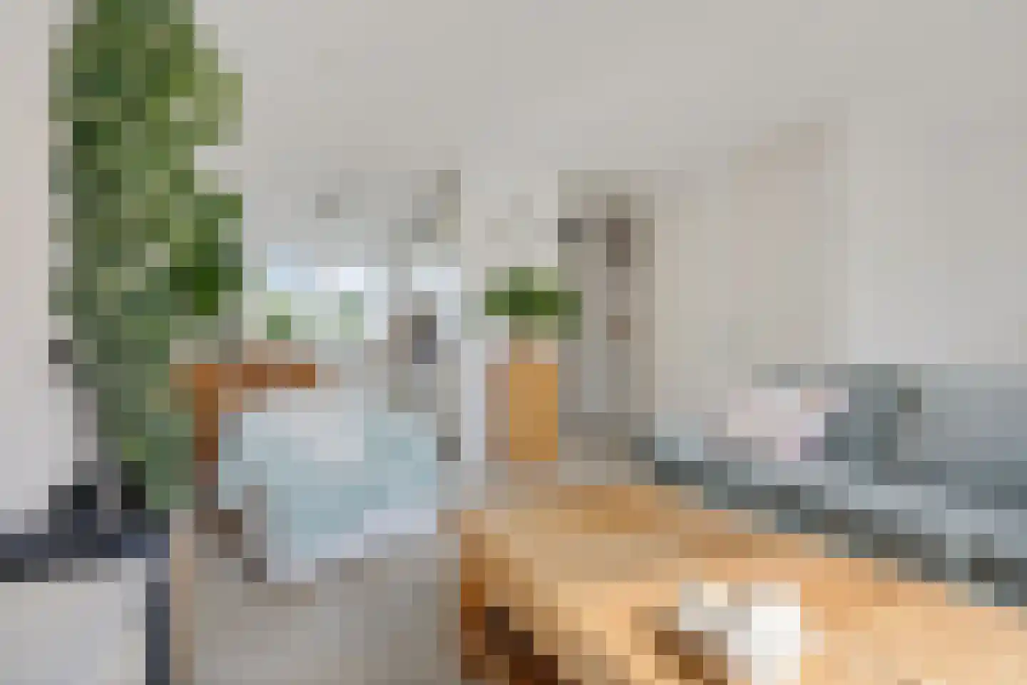 Kwartel 13 Emmer-Compascuum thumbnail 10