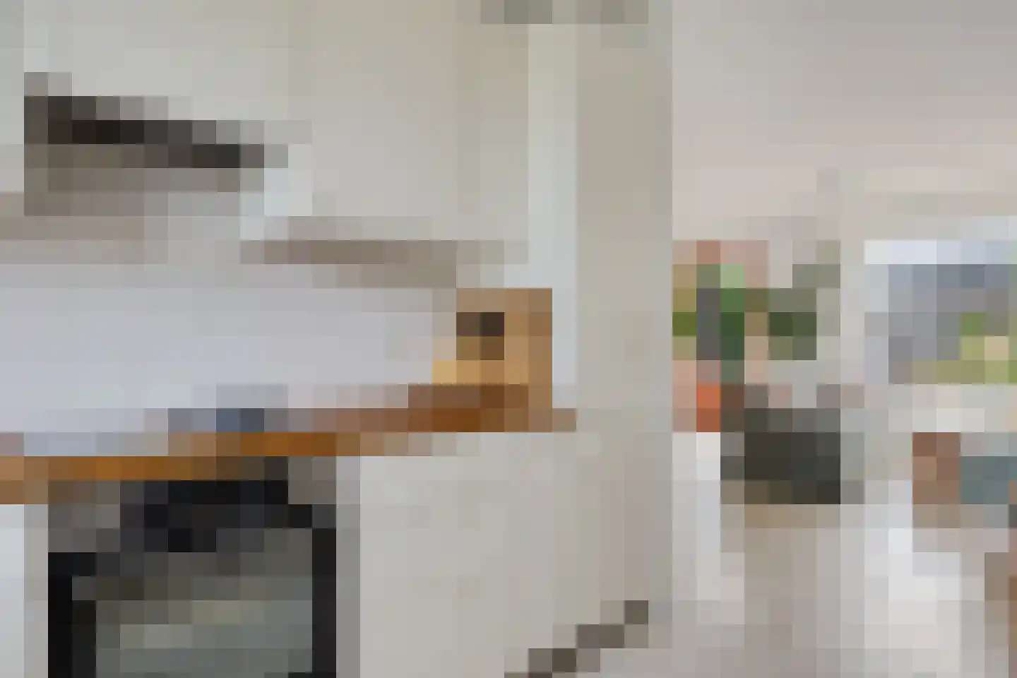 Kwartel 13 Emmer-Compascuum thumbnail 17