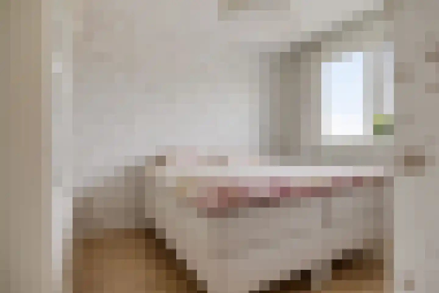 Kwartel 13 Emmer-Compascuum thumbnail 22