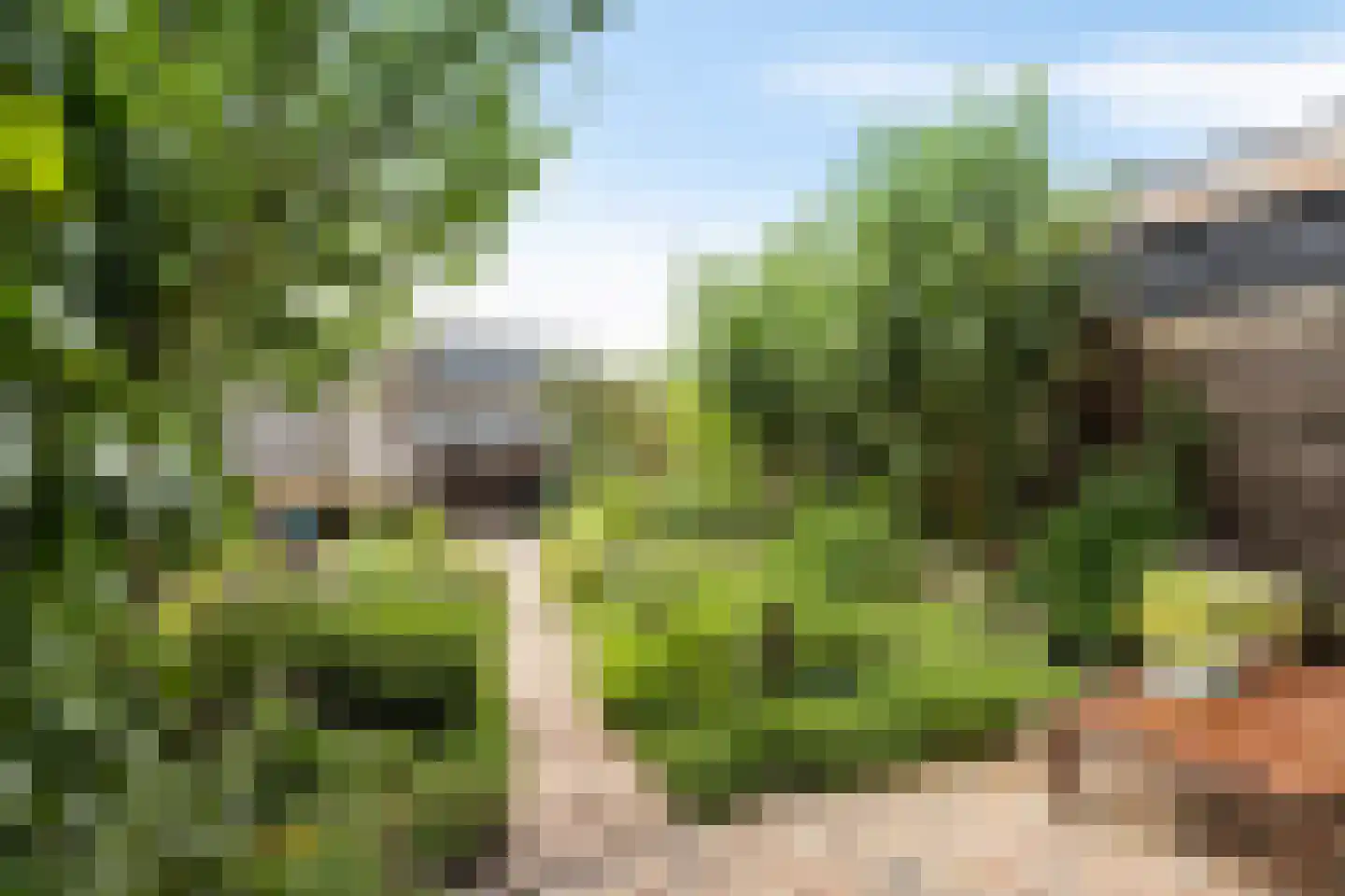 Kwartel 13 Emmer-Compascuum thumbnail 34