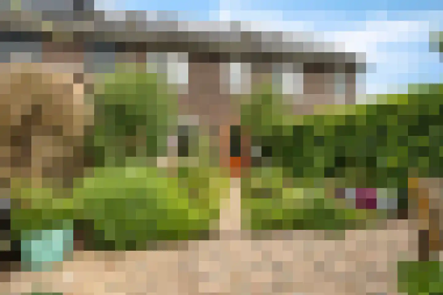 Kwartel 13 Emmer-Compascuum thumbnail 36