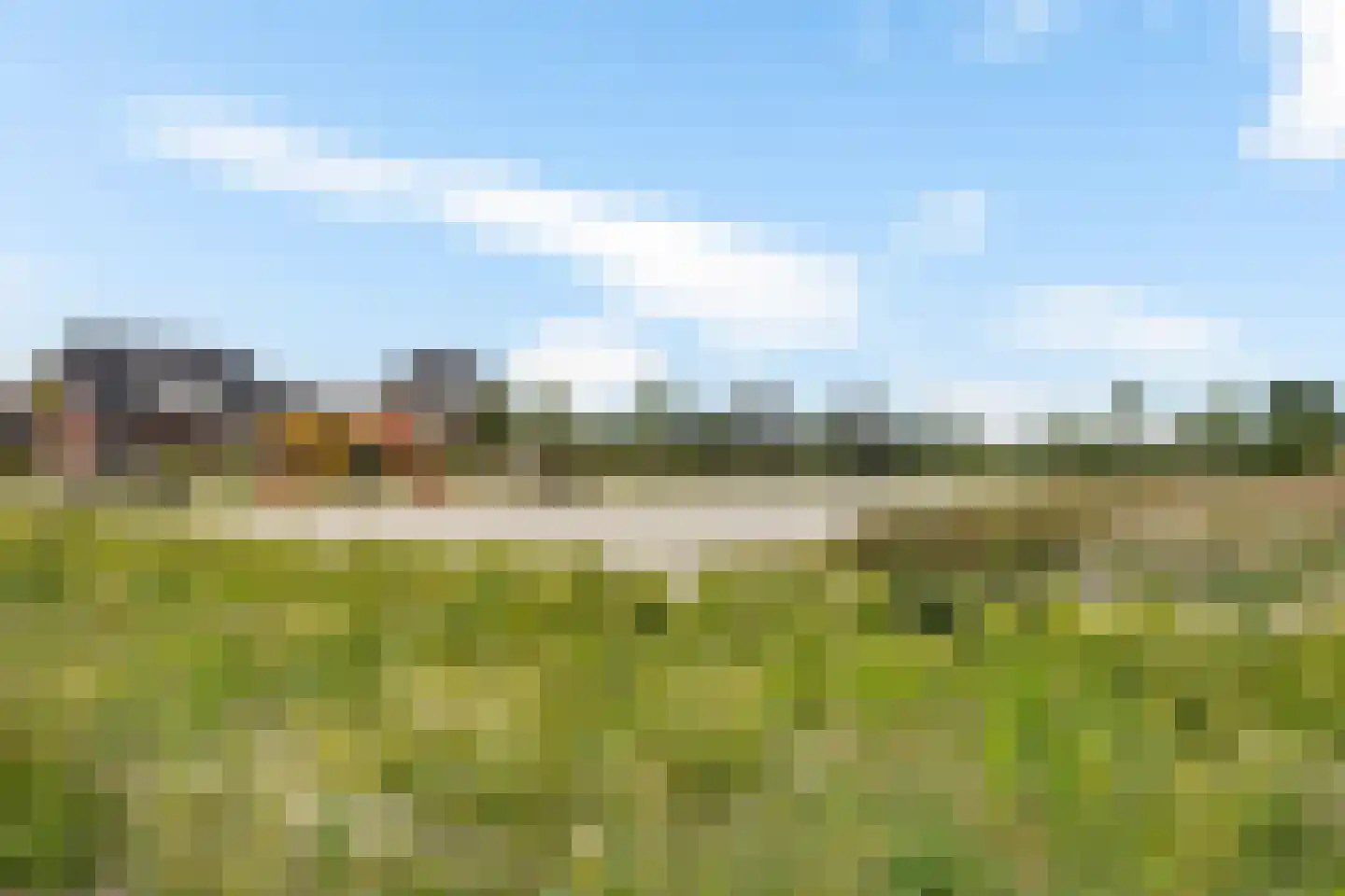 Kwartel 13 Emmer-Compascuum thumbnail 44