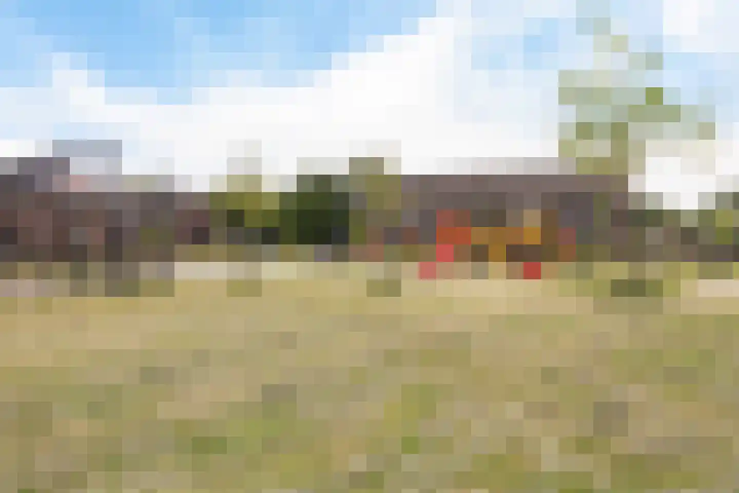 Kwartel 13 Emmer-Compascuum thumbnail 45