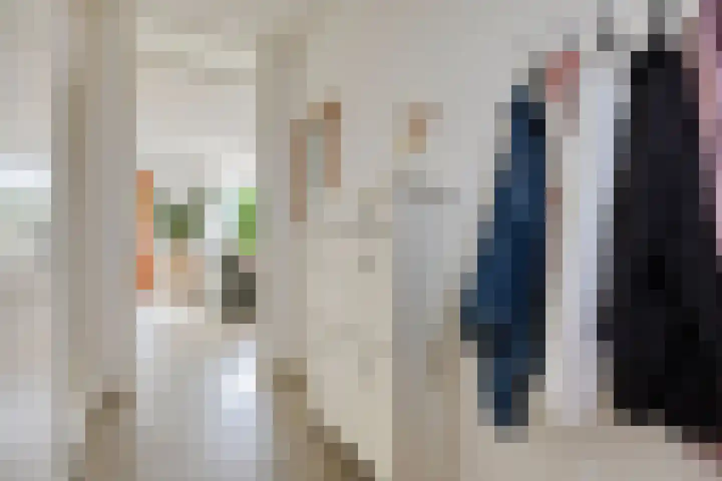 Kwartel 13 Emmer-Compascuum thumbnail 6