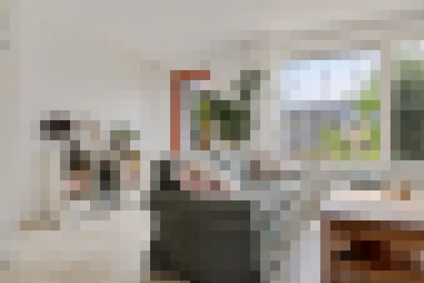 Kwartel 13 Emmer-Compascuum thumbnail 9
