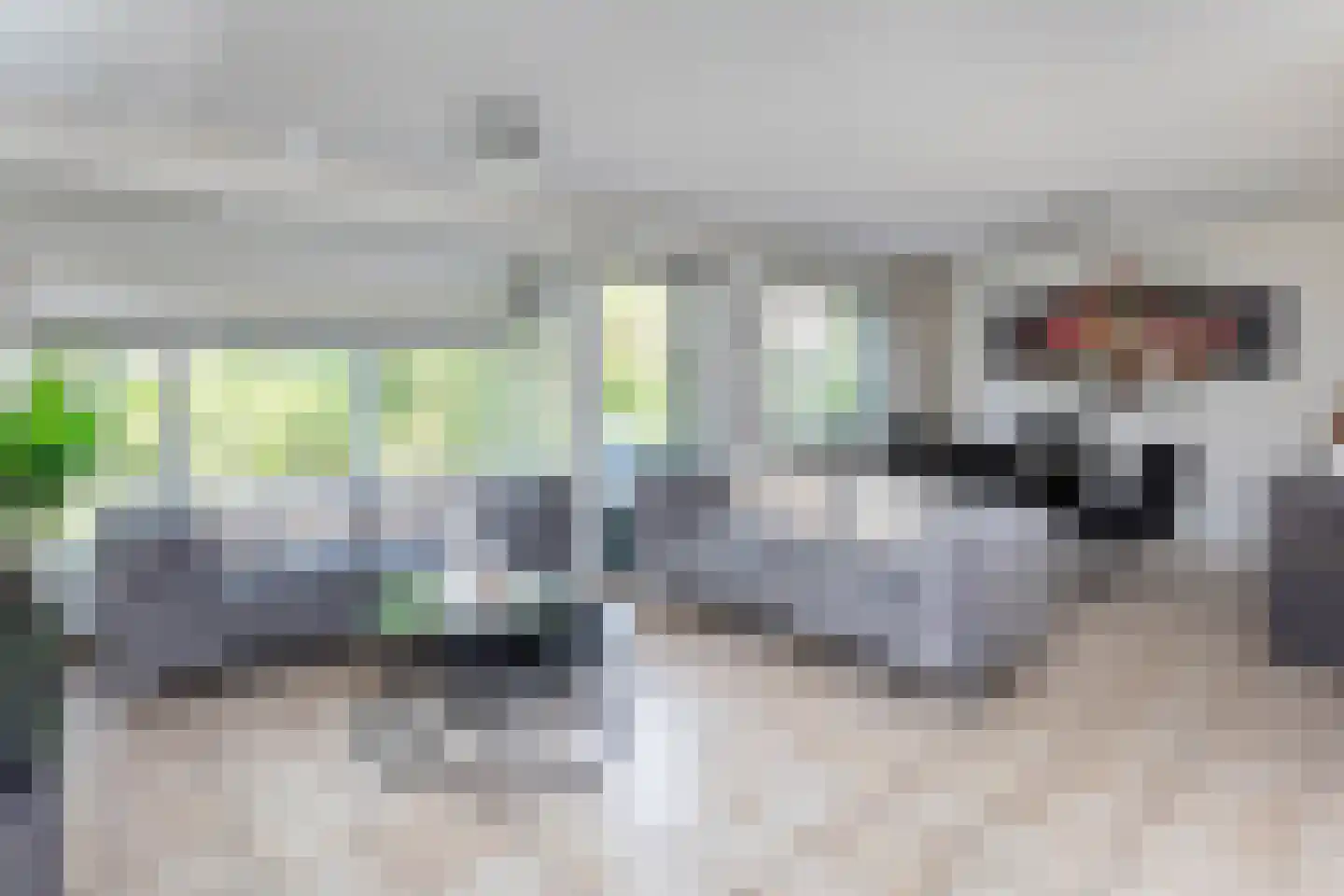 Kwartel 15 Sibculo thumbnail 10