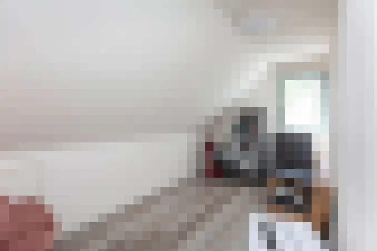 Kwartel 15 Sibculo thumbnail 13