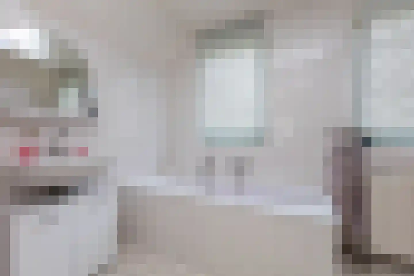 Kwartel 15 Sibculo thumbnail 16