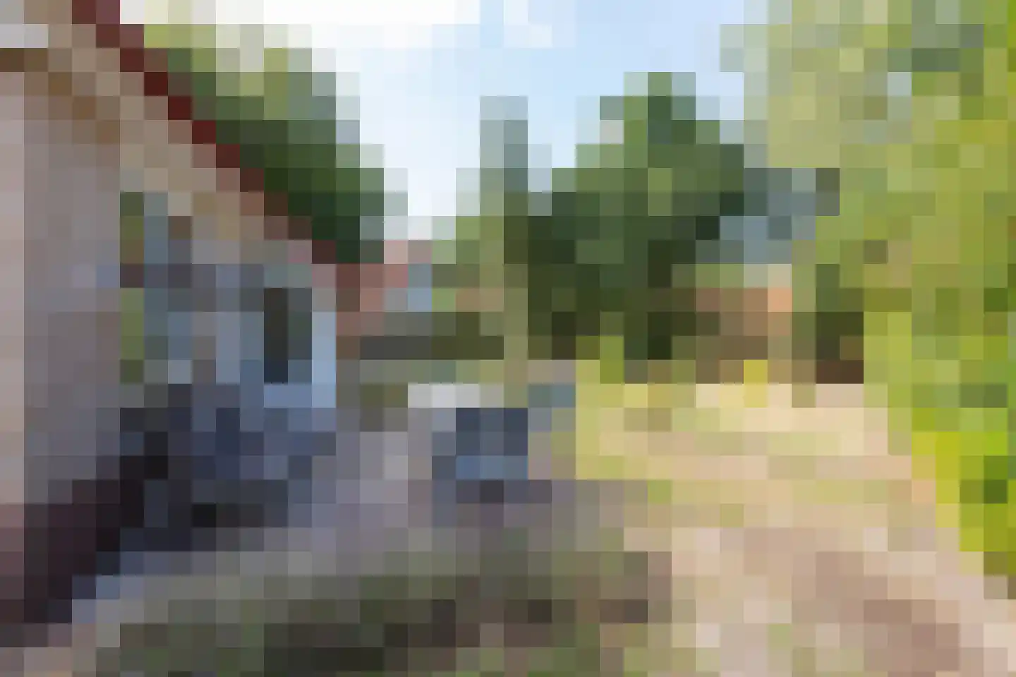 Kwartel 15 Sibculo thumbnail 17