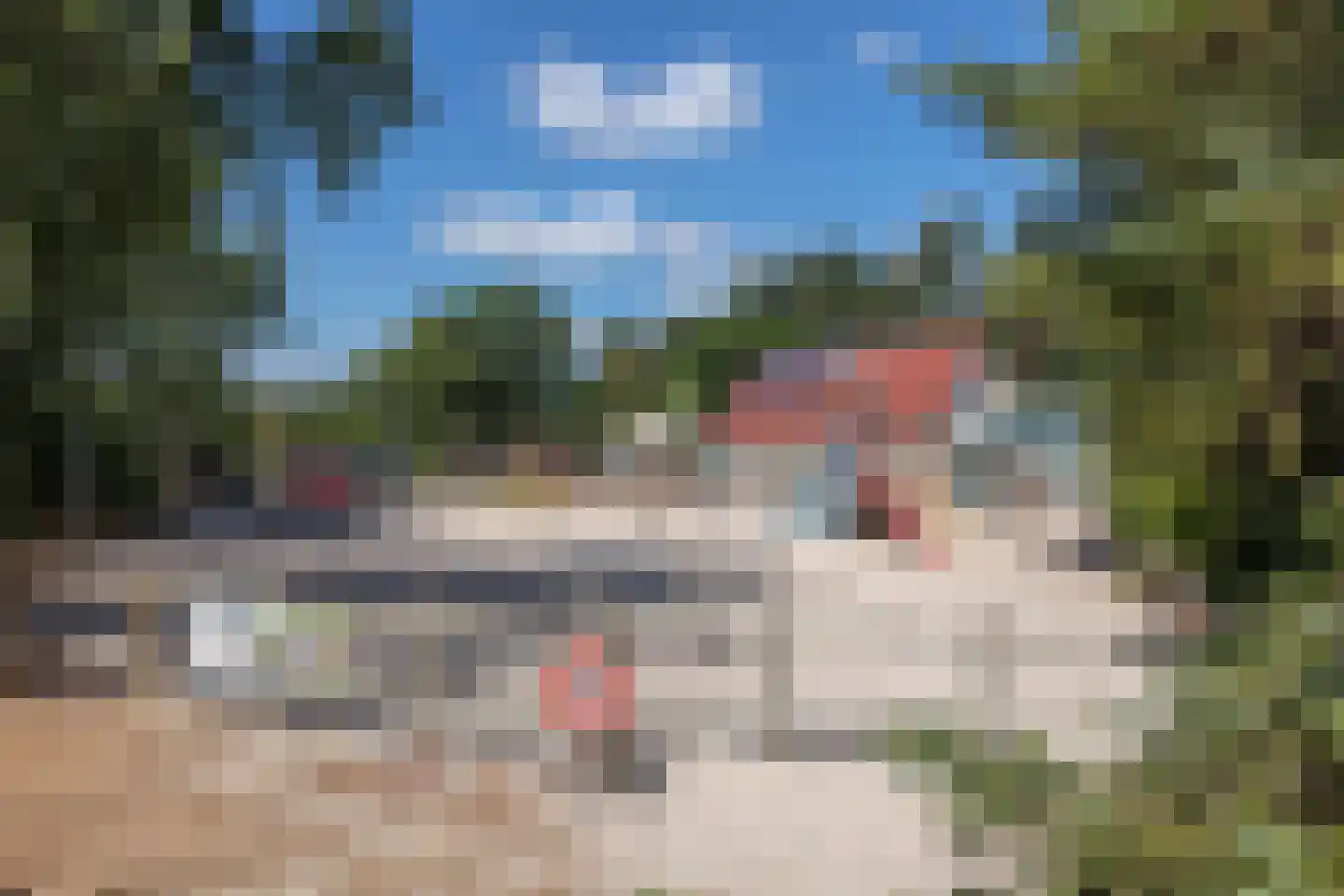 Kwartel 15 Sibculo thumbnail 21