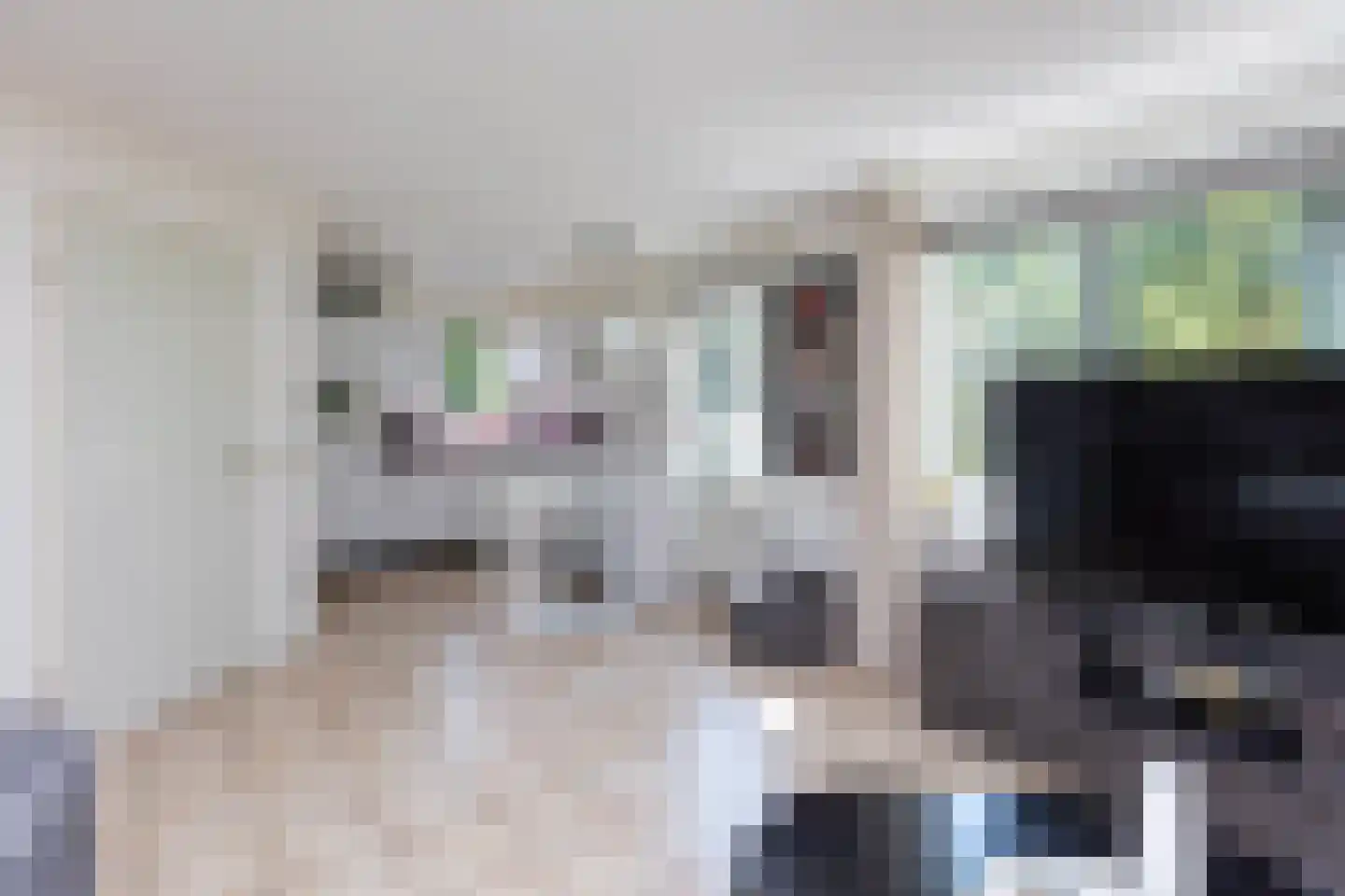 Kwartel 15 Sibculo thumbnail 6