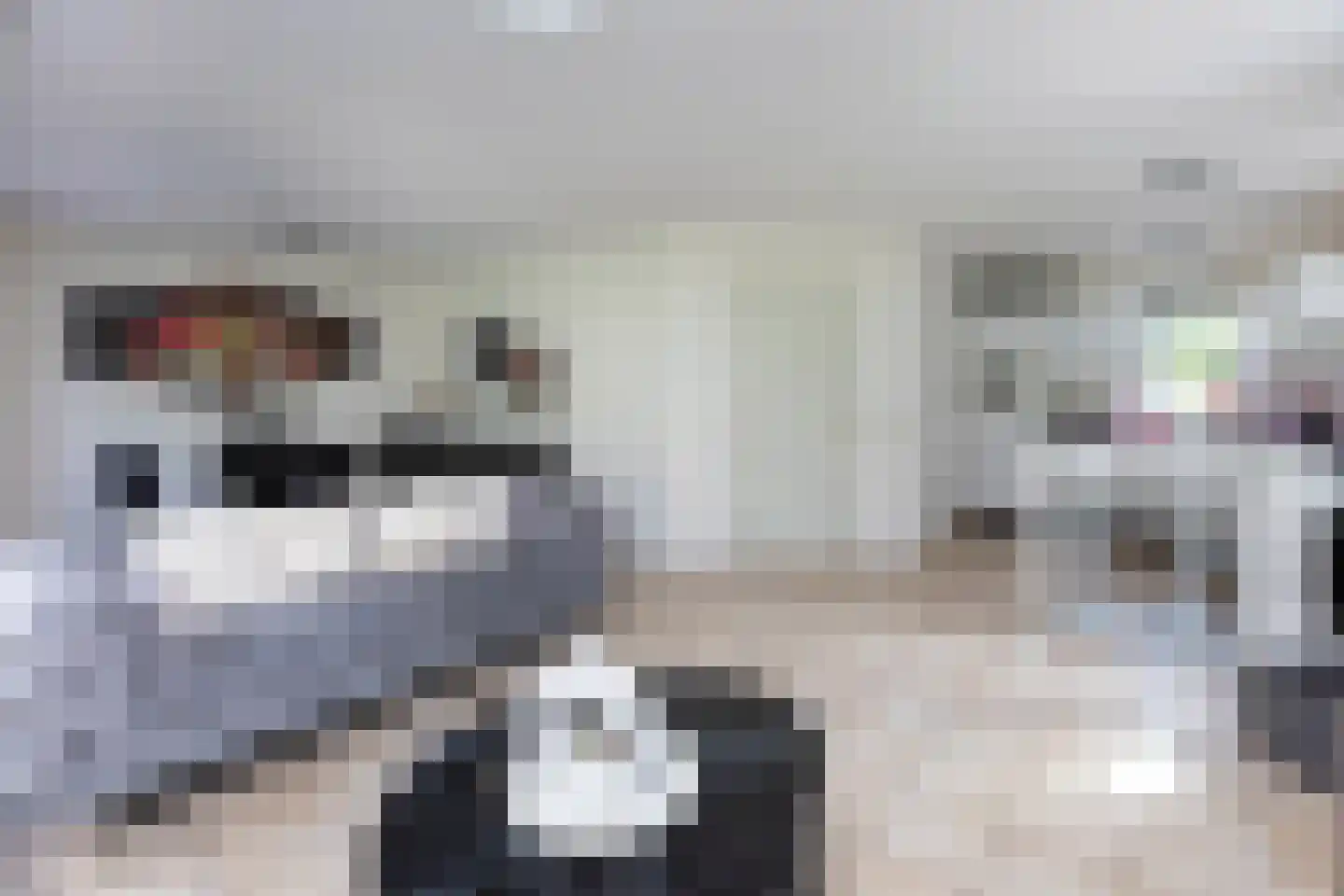 Kwartel 15 Sibculo thumbnail 7