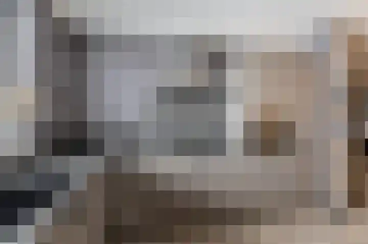 Kwartel 17 Emmer-Compascuum thumbnail 10