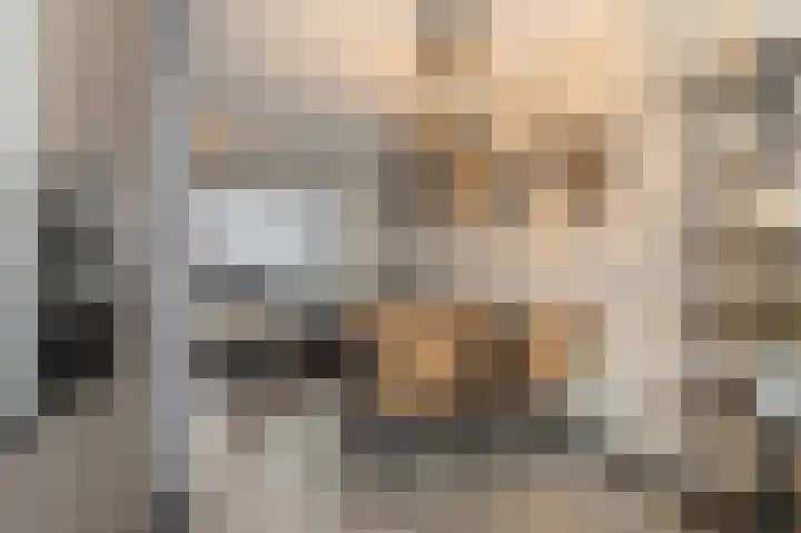 Kwartel 17 Emmer-Compascuum thumbnail 12