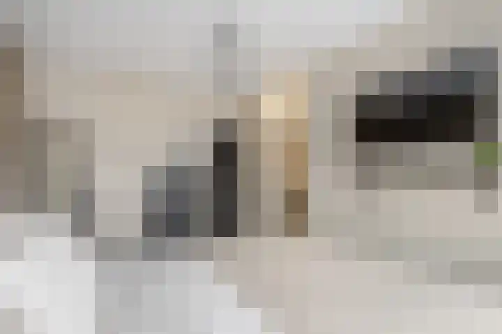 Kwartel 17 Emmer-Compascuum thumbnail 19