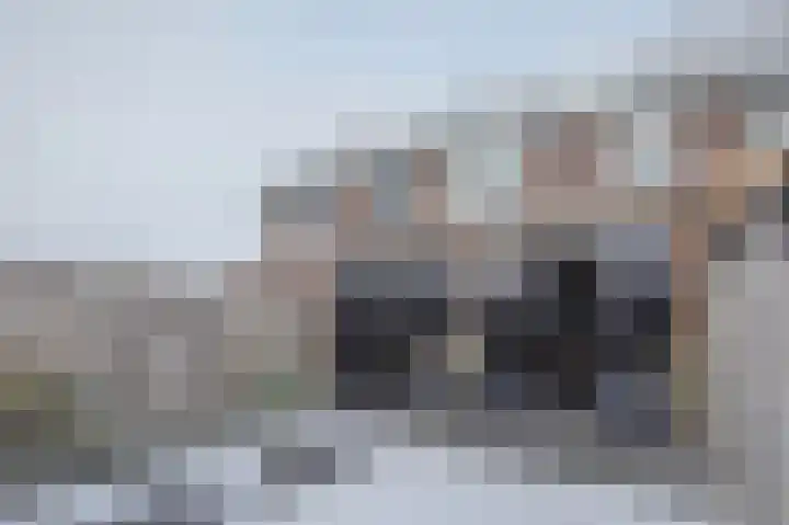 Kwartel 17 Emmer-Compascuum thumbnail 28