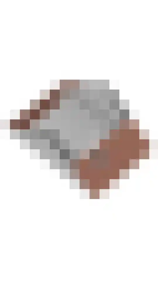 Kwartel 17 Emmer-Compascuum thumbnail 41