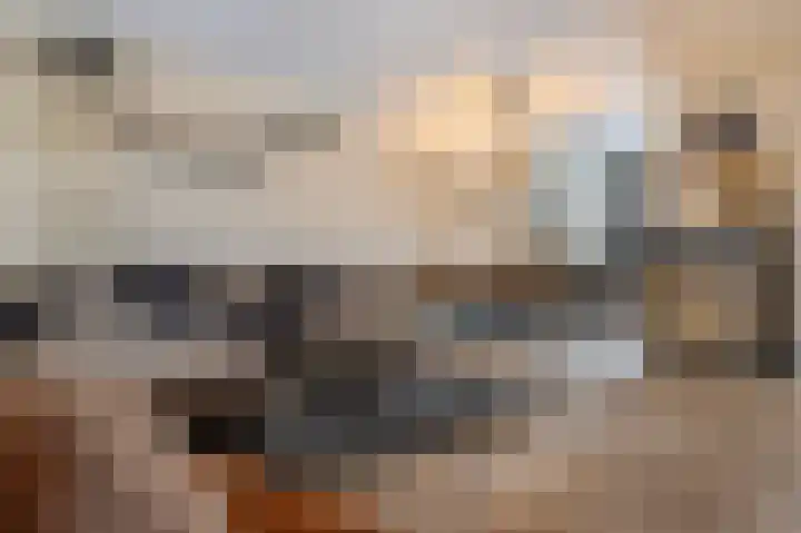 Kwartel 17 Emmer-Compascuum thumbnail 5