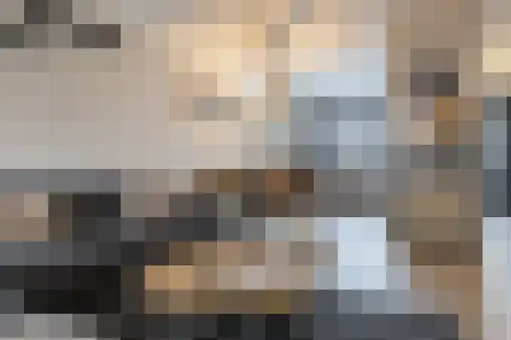 Kwartel 17 Emmer-Compascuum thumbnail 6