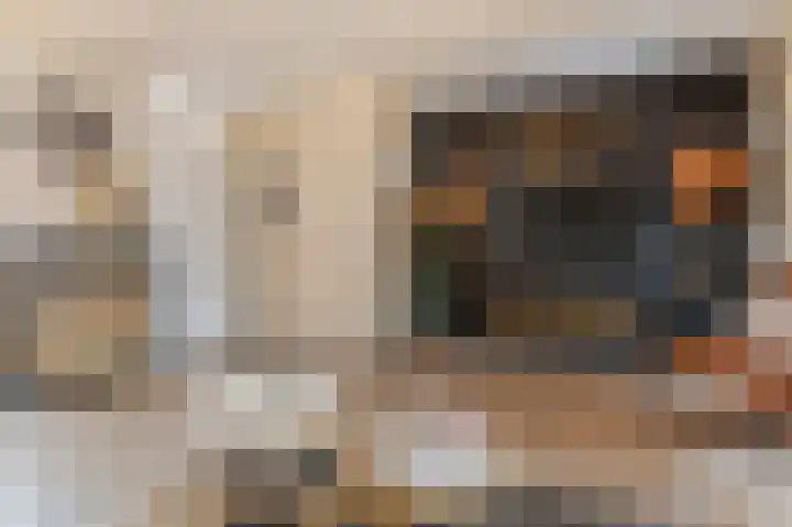 Kwartel 17 Emmer-Compascuum thumbnail 7