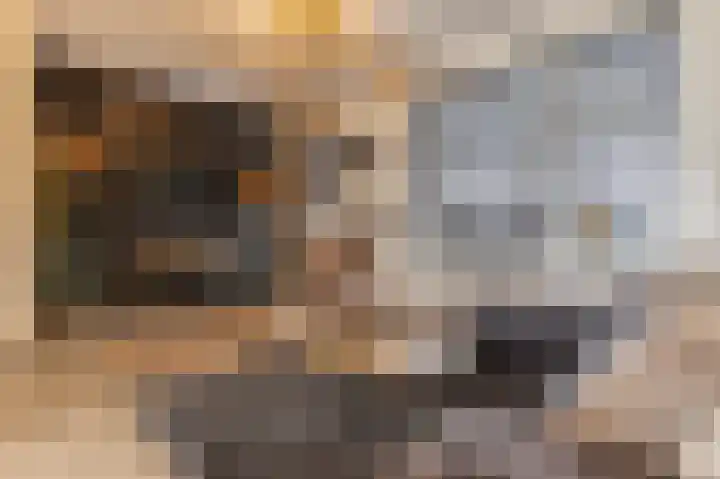 Kwartel 17 Emmer-Compascuum thumbnail 8