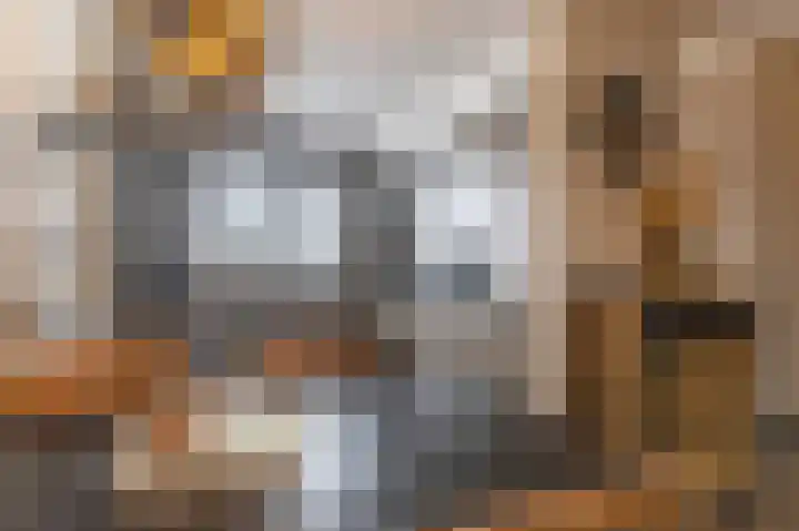 Kwartel 17 Emmer-Compascuum thumbnail 9