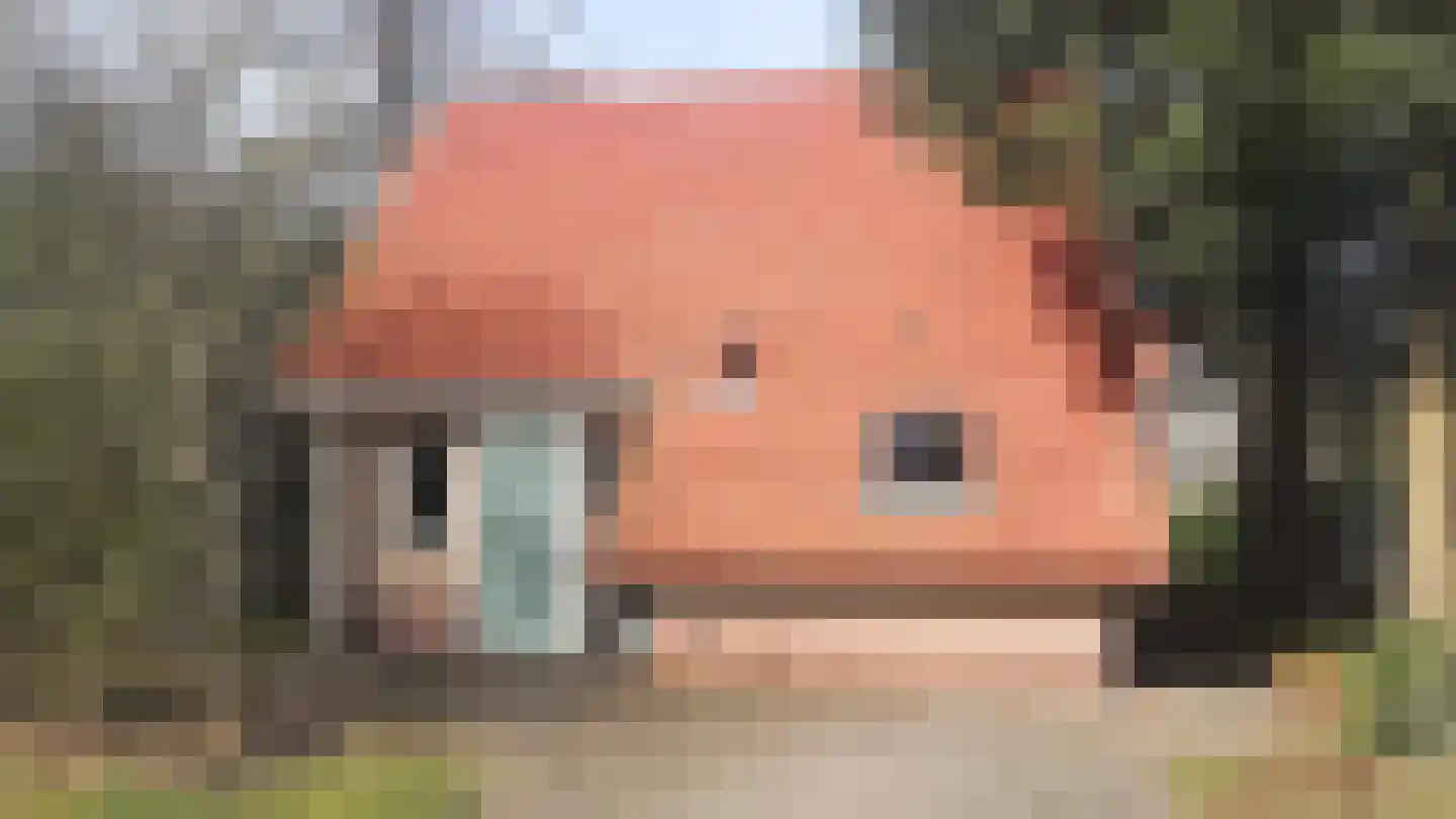 Kwartel 22 Sibculo
