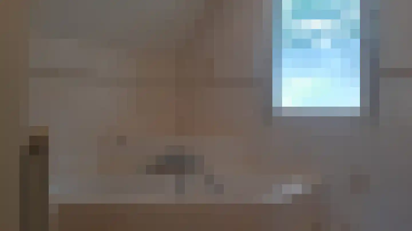 Kwartel 22 Sibculo thumbnail 13