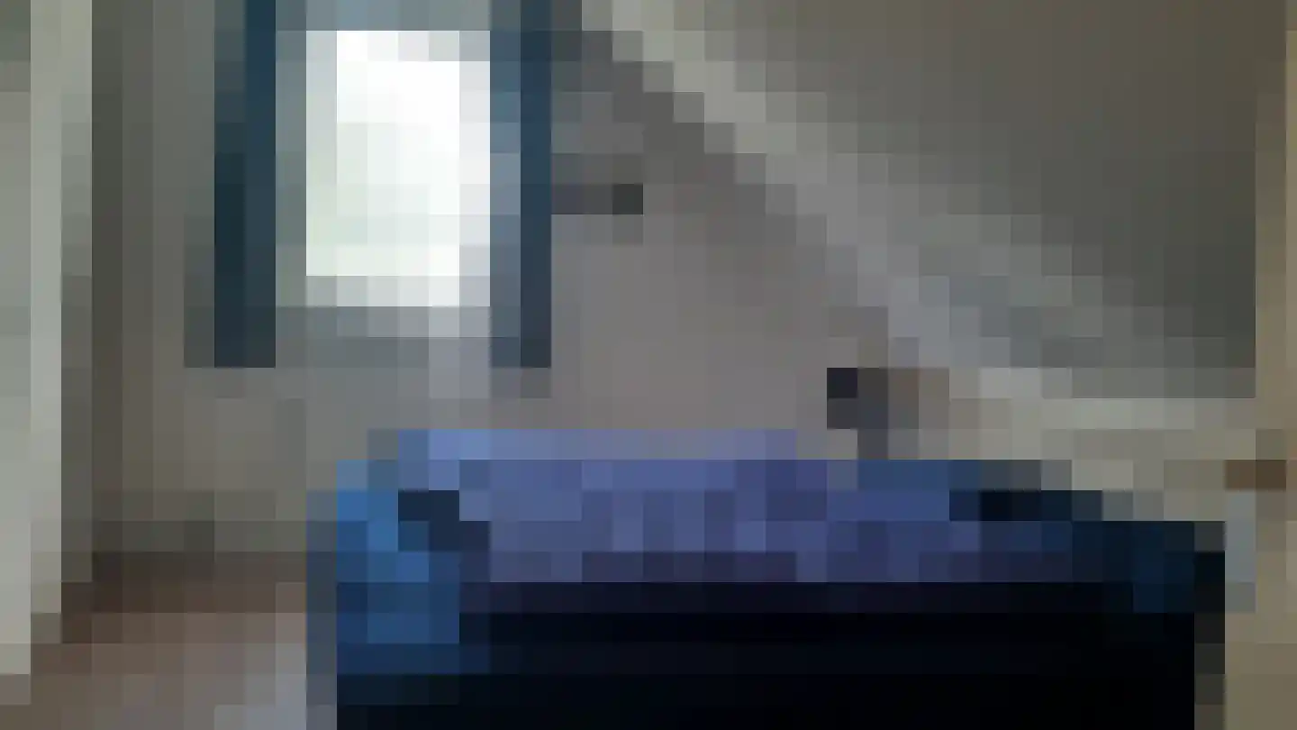 Kwartel 22 Sibculo thumbnail 17
