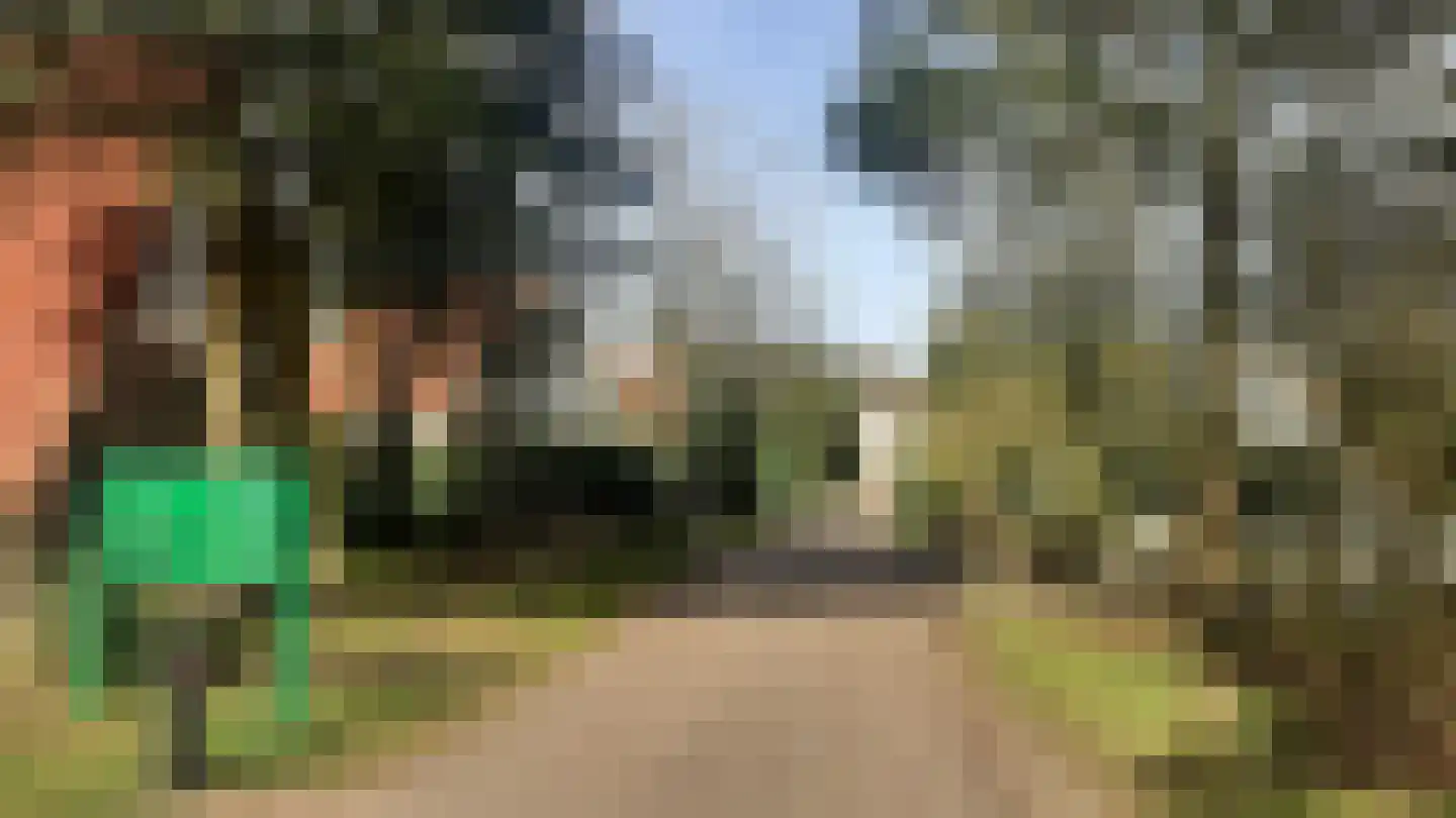 Kwartel 22 Sibculo thumbnail 5