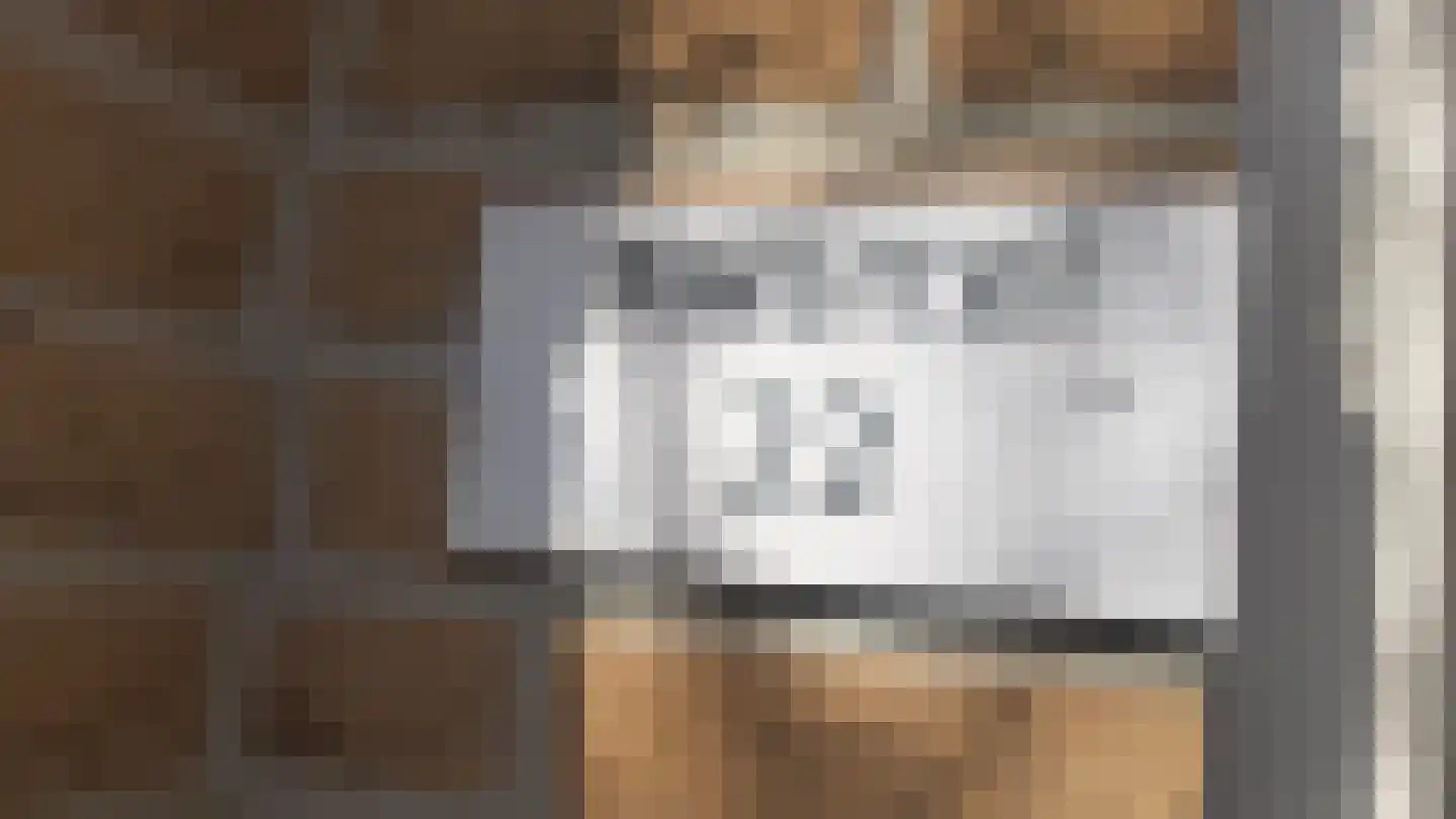 Kwartel 22 Sibculo thumbnail 6