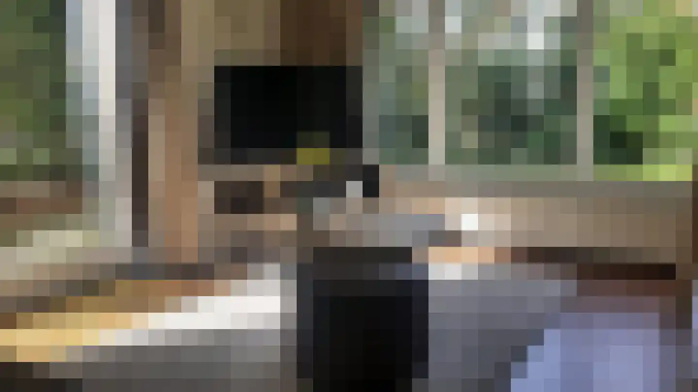 Kwartel 22 Sibculo thumbnail 8