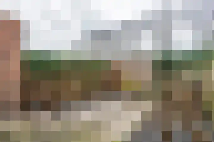 Kwartel 25 Maurik thumbnail 14