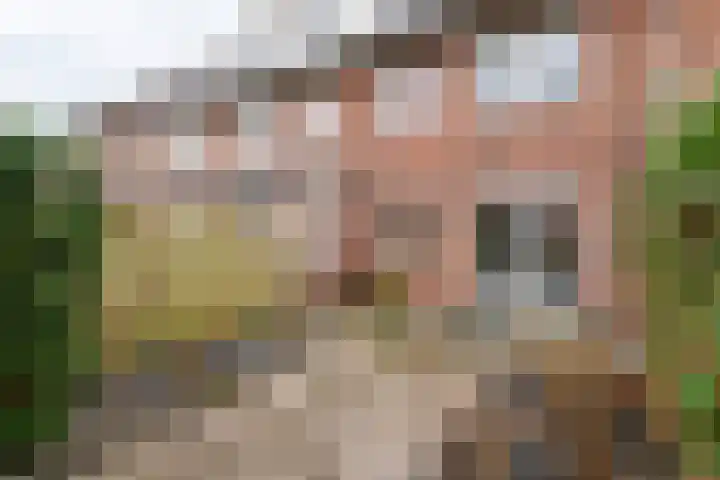 Kwartel 25 Maurik thumbnail 16