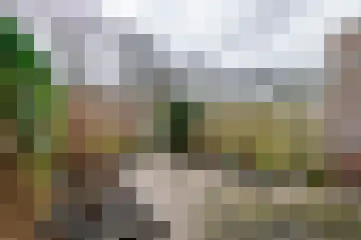 Kwartel 25 Maurik thumbnail 17