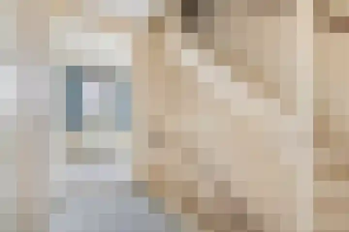 Kwartel 25 Maurik thumbnail 27
