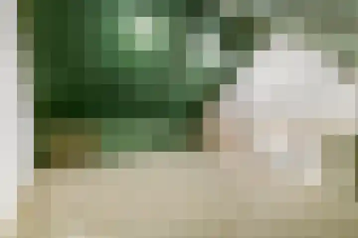 Kwartel 25 Maurik thumbnail 28