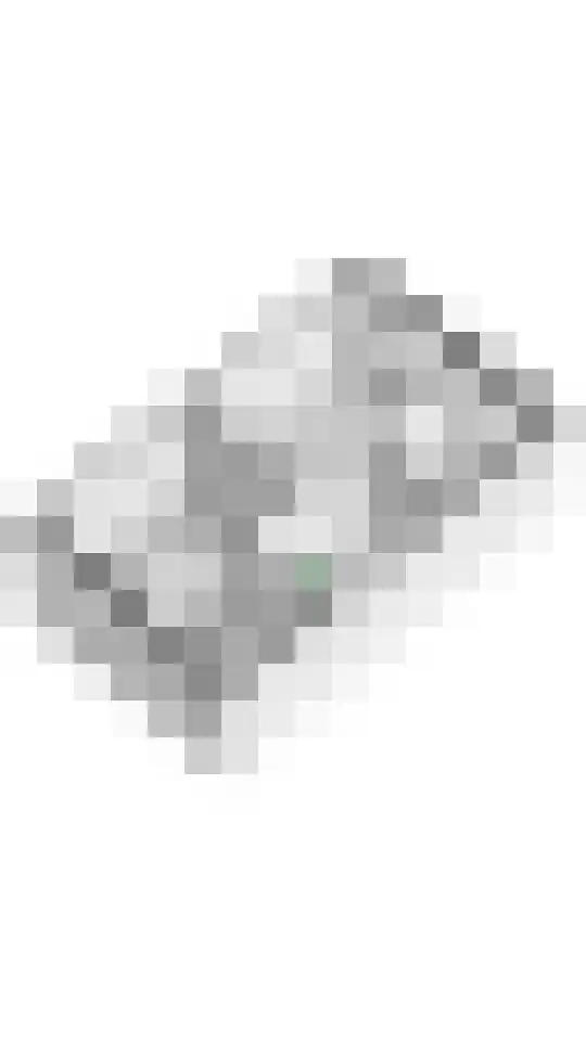 Kwartel 25 Maurik thumbnail 37