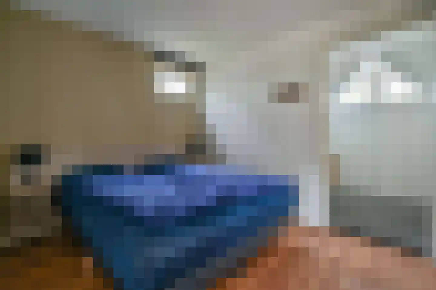 Kwartel 3 503 Sibculo thumbnail 10