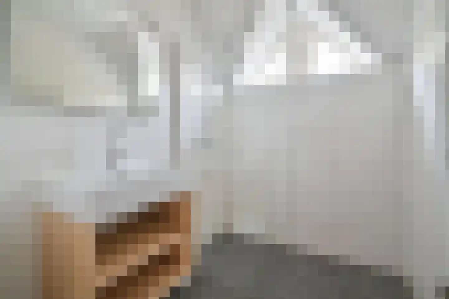 Kwartel 3 503 Sibculo thumbnail 11