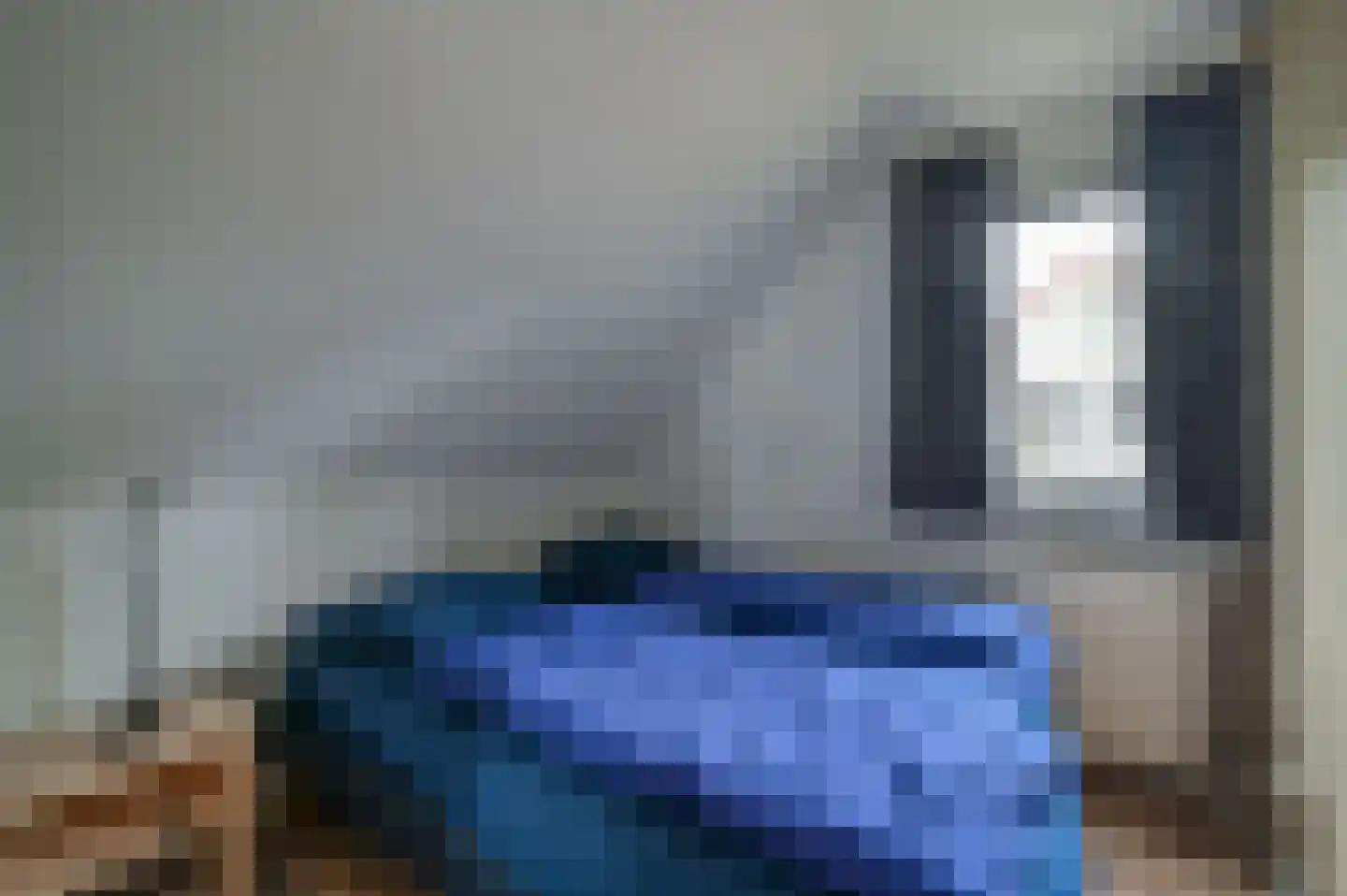Kwartel 3 503 Sibculo thumbnail 14