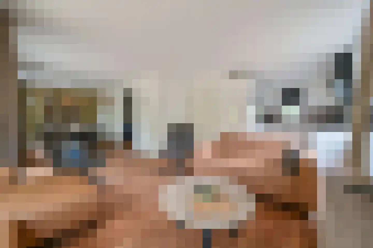 Kwartel 3 503 Sibculo thumbnail 4