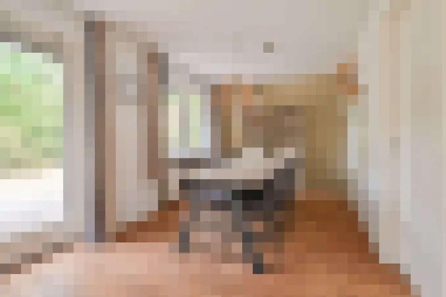 Kwartel 3 503 Sibculo thumbnail 6