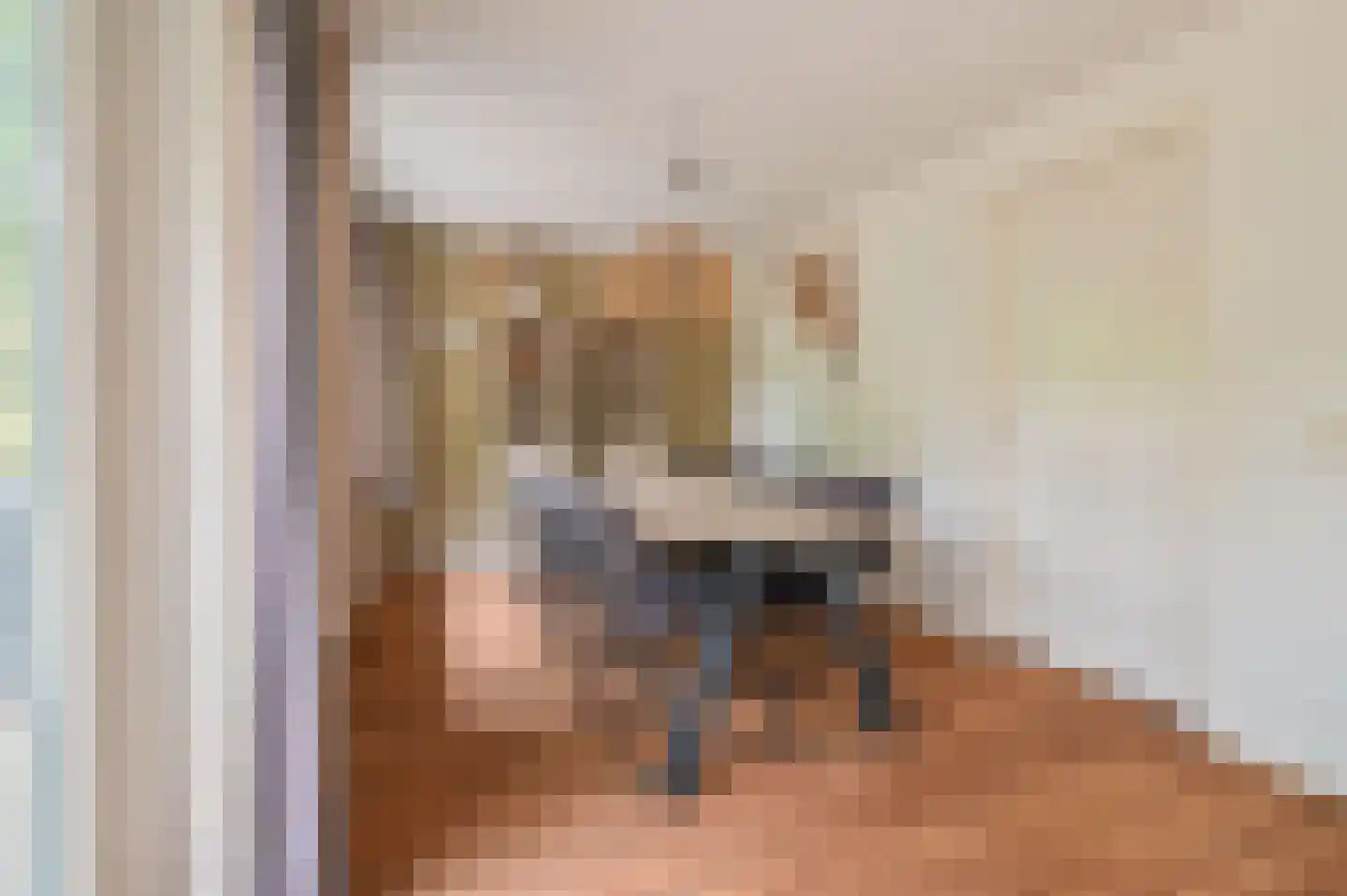 Kwartel 3 503 Sibculo thumbnail 7