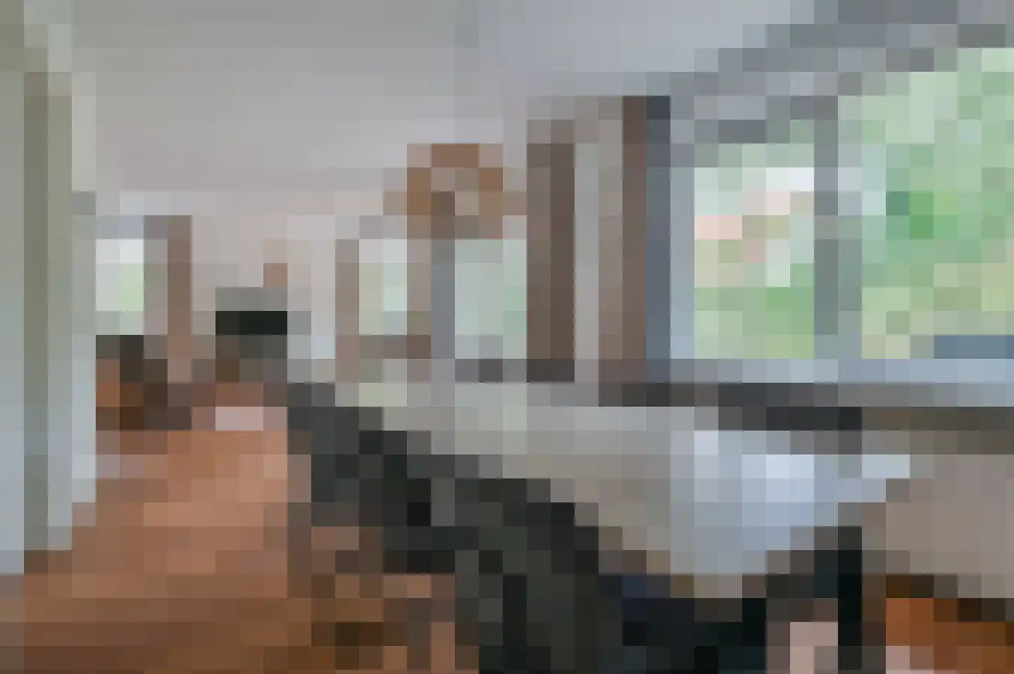Kwartel 3 503 Sibculo thumbnail 8