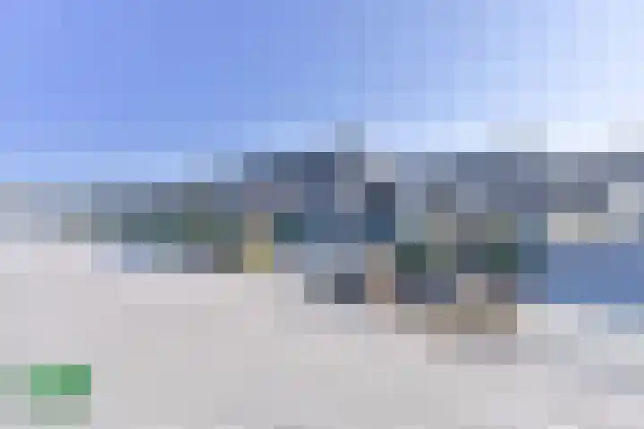 Kwartel 47 Emmer-Compascuum