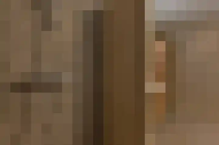 Kwartel 47 Emmer-Compascuum thumbnail 43