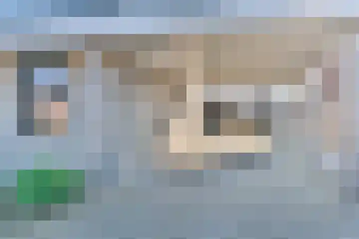 Kwartel 47 Emmer-Compascuum thumbnail 5